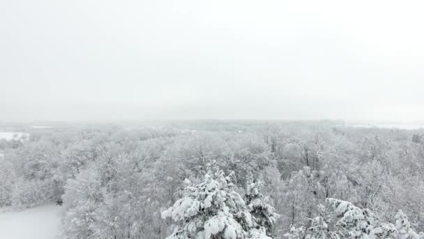 Antenn Snötäckta Landsbygden Vintertid — Stockvideo