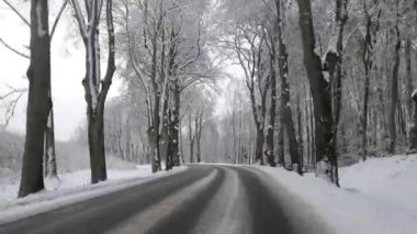 Ormanın içinden geçen kış yolu