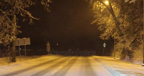 在晚上的冬天路 — 图库视频影像