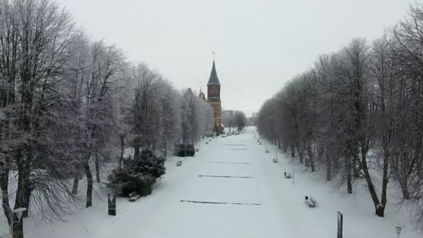 Aéreo Catedral Kaliningrado Inverno Nevado — Vídeo de Stock
