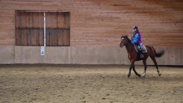 Horserider Uitoefening Van Binnen — Stockvideo