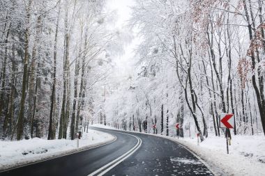 kış orman yolu