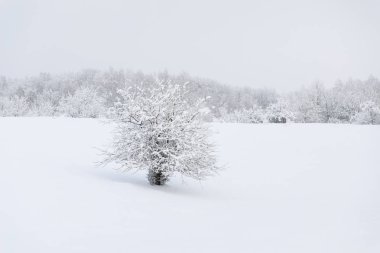 Kırsal kış manzara