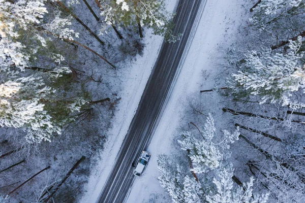 Vägen i en vinter skog — Stockfoto