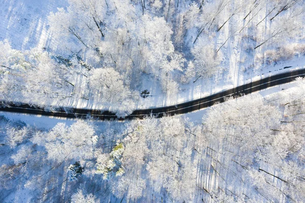 Vägen i en vinter skog — Stockfoto