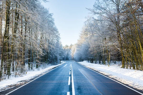 Vägen i en vinter skog — Stockfoto
