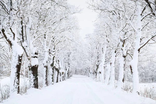 Vintern vägen i en djup snö — Stockfoto