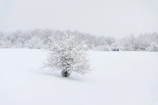 Landsbygden vinterlandskap — Stockfoto