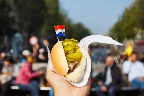 Голландська бутерброд з оселедцем — стокове фото
