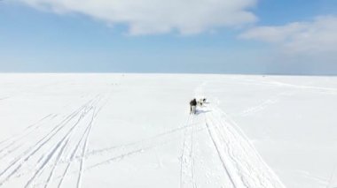 Anteni: Eğitim kızak köpekleri kışın donmuş bir koyda