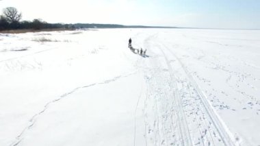 Anteni: Eğitim kızak köpekleri kışın donmuş bir koyda