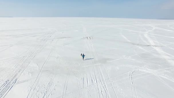 Воздушная Антенна Спринтер Упряжке Собакой Замерзшей Бухте Зимой — стоковое видео