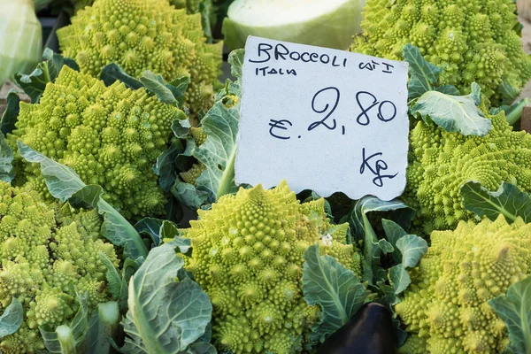 Fresh broccoli on the selling in Rome's market — Stock Photo, Image