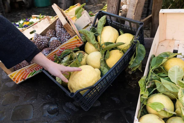 Large lemons in the box — Stock Photo, Image