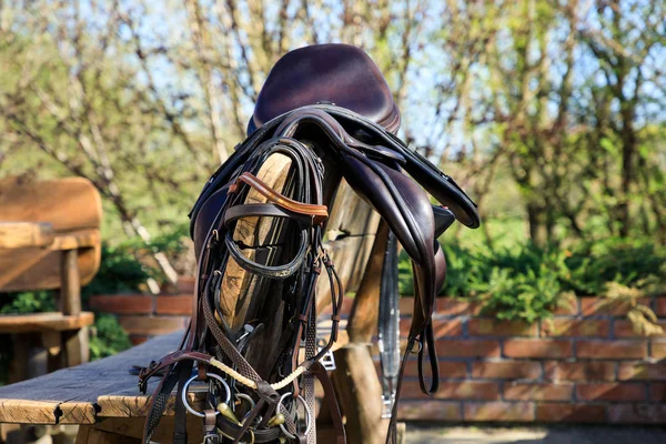 Horseback equipment are hanging on the wooden chair outdoors — Stock Photo, Image