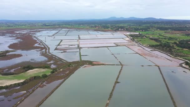 Estanques Evaporación Sal Salinas Salinas Cerca Colonia Sant Jordi Mallorca — Vídeo de stock