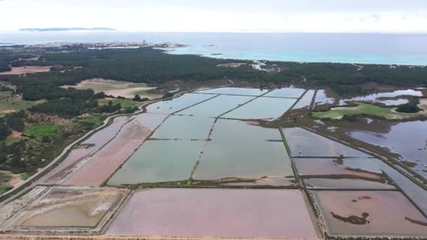 Mallorca Daki Colonia Sant Jordi Yakınlarında Tuz Buharlaştırma Göletleri Tuzlama — Stok video