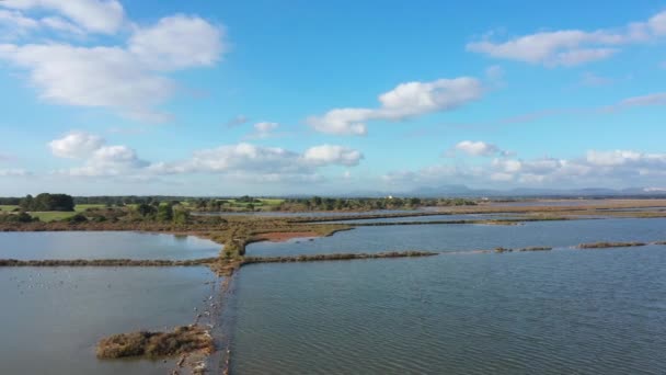 Rebanho Aves Sobre Lago Maiorca Espanha Vista Drone — Vídeo de Stock