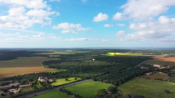 Aerial Green Fields Mallorca Winter — Stock Video