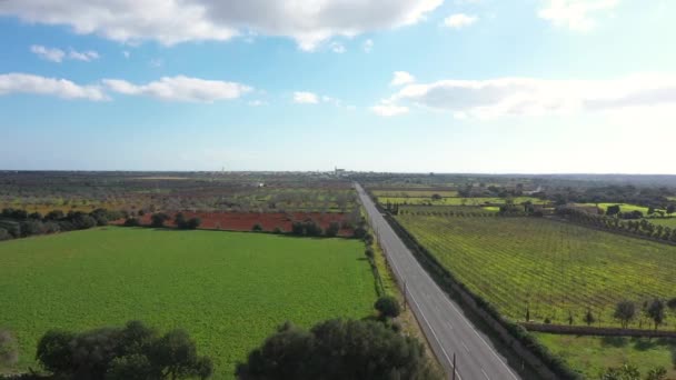 Flygfoto Gröna Fält Mallorca Vintern — Stockvideo