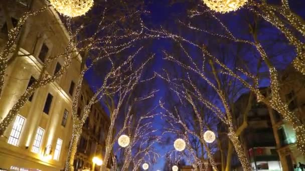 Palma Mallorca Španělsko Ledna 2020 Vánoční Osvětlení Ulici Passeig Del — Stock video