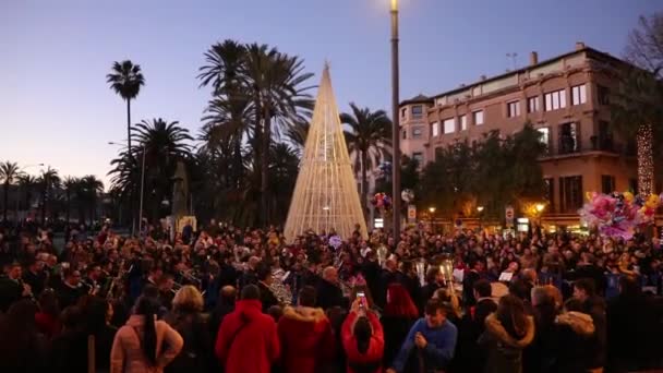Palma Mallorca Spain January 2020 Carnival Procession City Street Day — 图库视频影像