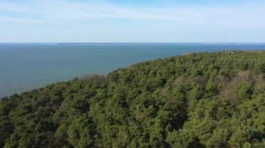 Deniz kıyısındaki çam ormanının havadan görünüşü