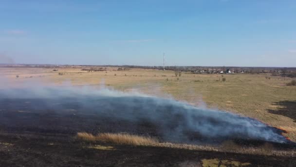 Brandend Veld Het Voorjaar Zicht Van Bovenaf — Stockvideo