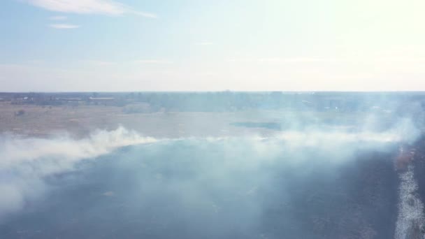 Brinnande Fält Våren Ovanifrån — Stockvideo