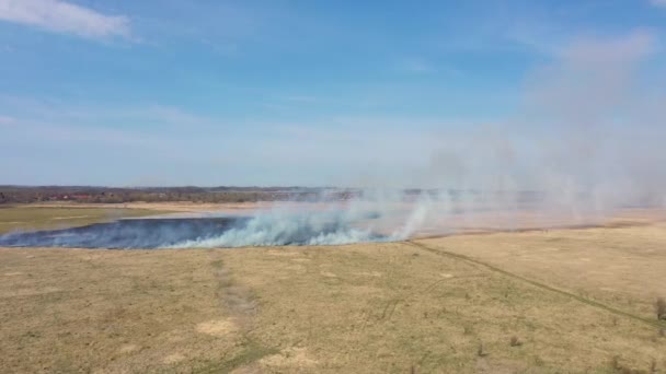 Pole Płonące Wiosną Widok Góry — Wideo stockowe