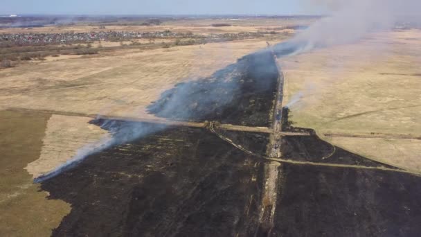 Champ brûlant au printemps, vue d'en haut 