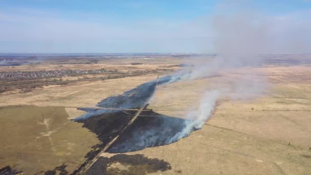 Pole Płonące Wiosną Widok Góry — Wideo stockowe