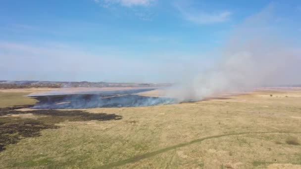 Campo Ardiente Primavera Vista Desde Arriba — Vídeo de stock