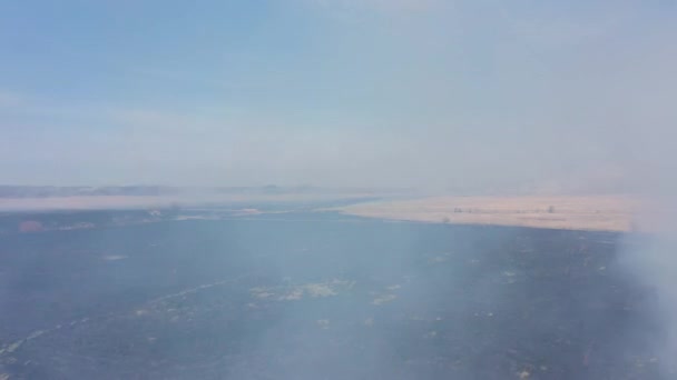 Campo Ardiente Primavera Vista Desde Arriba — Vídeo de stock