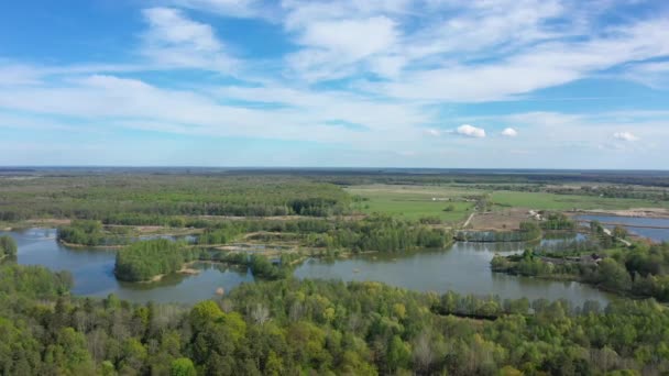 Lagos Bosque Vista Desde Dron — Vídeos de Stock