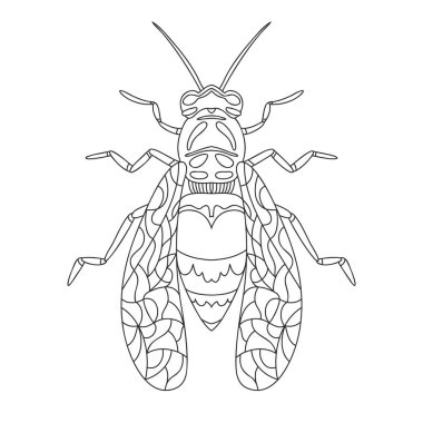 Eşek arısı özeti gerçekçi. Vektör grafik çizimi. Yaz vektör illüstrasyonu. Boyama kitabı. El gerçekçi çizim. Çizgi film böcekleri: Arı, eşek arısı, eşek arısı, eşekarısı.