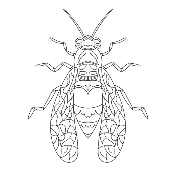 Guêpe Abeille Contour Réaliste Illustration Vectorielle Illustration Vectorielle Été Livre — Image vectorielle