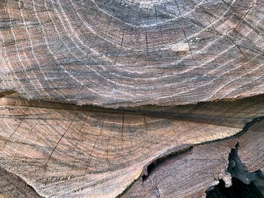 Tahta çatlamış doku. Katmanlı eski bir kütük. Arkaplan için ahşap duvar kağıtları