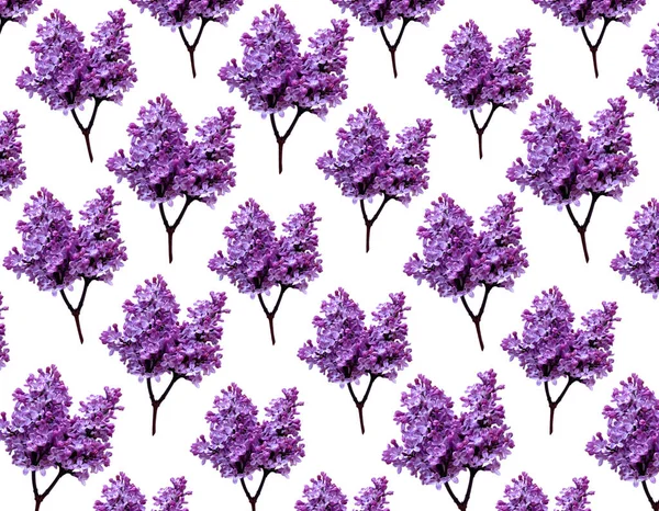 Repeated purple lilac pattern. Flowers background