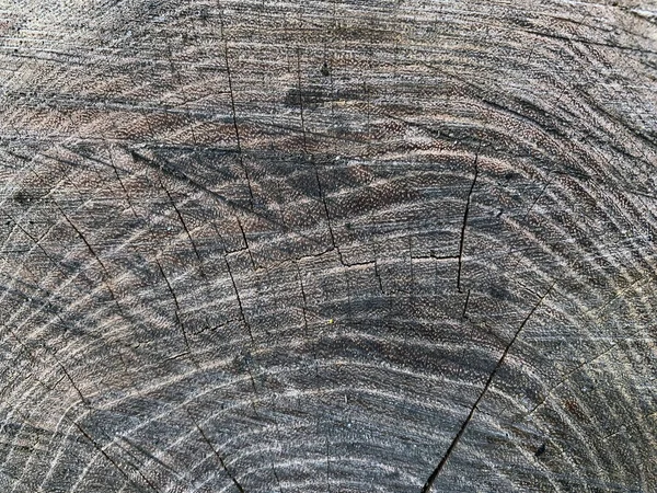 Zamknąć Drewniane Tekstury Pęknięciami Widok Górny Pniaka — Zdjęcie stockowe