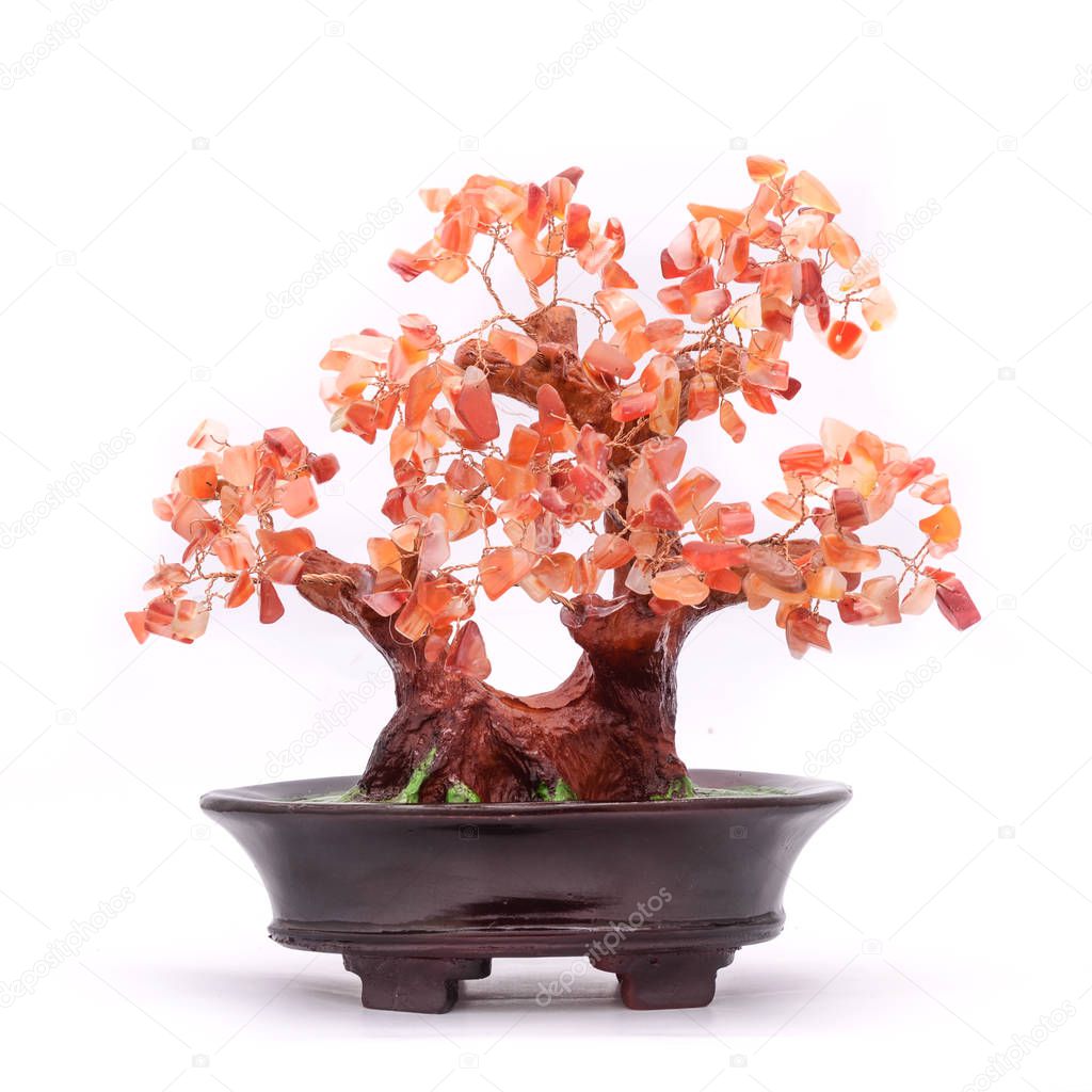 bonsai tree with stones isolated on white