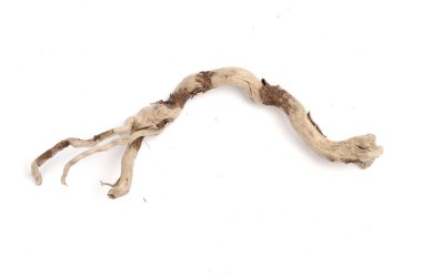 izole kabuk olmadan kuru dal