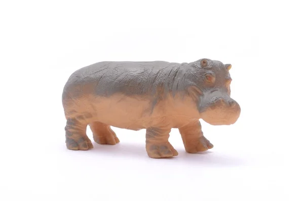 Іграшка гіпопотама ізольована на білому — стокове фото