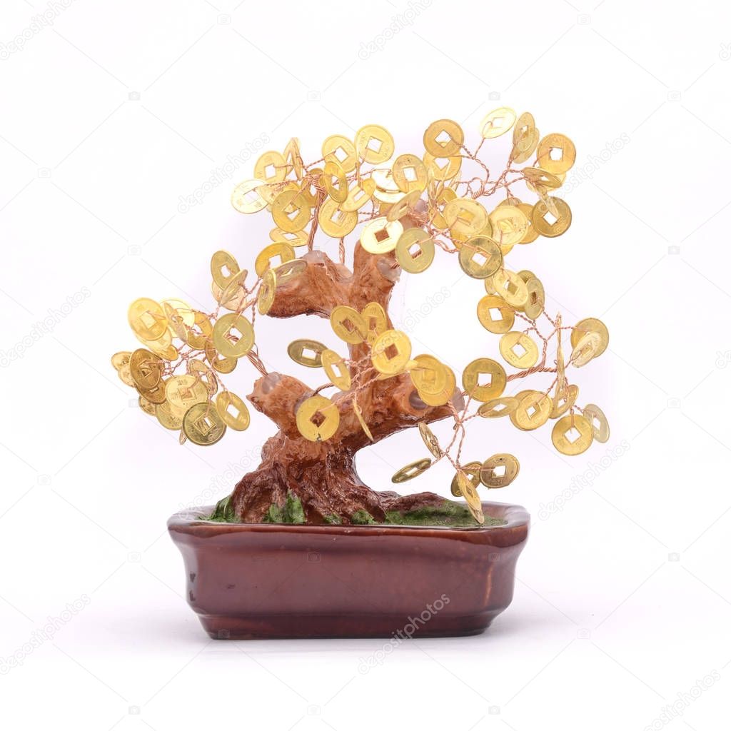 bonsai tree with coins isolated on white