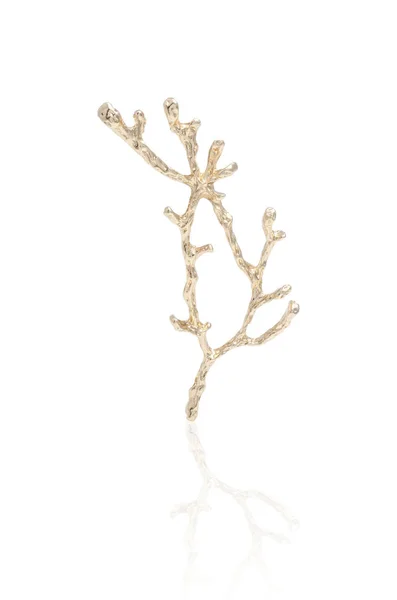 Golden twig isolated on white — Stock Photo, Image