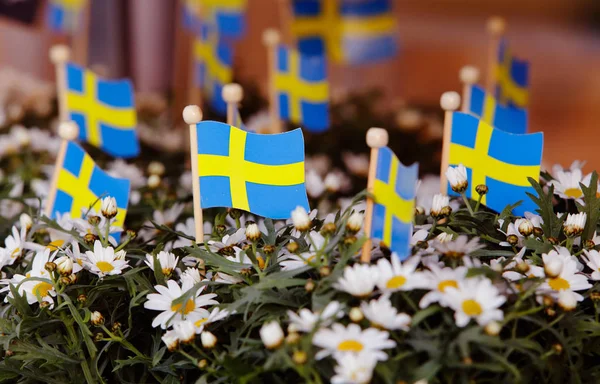 Swedish flags and flowers — Stock Photo, Image