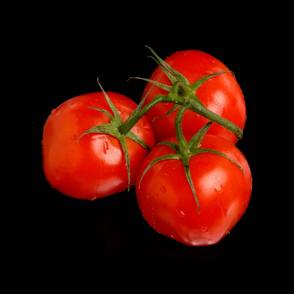 Três tomates em preto — Fotografia de Stock