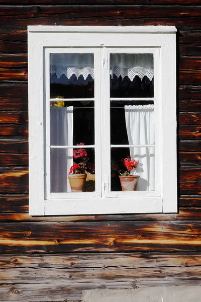 Ventana con dos flores dentro — Foto de Stock