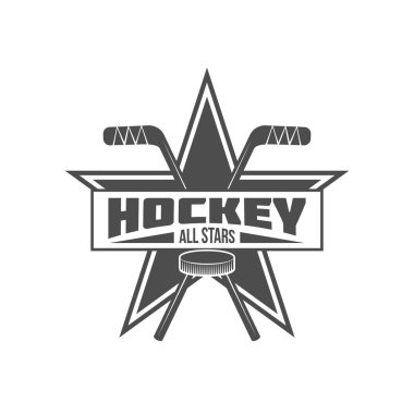 Hokey logo rozet 