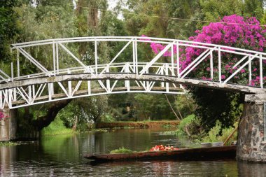 Mexico Xochimilco 'nun Mexico City' deki Yüzen Bahçeleri.